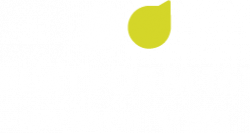 Platform161
